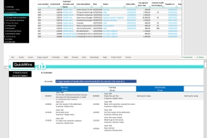 Customer Management for Services