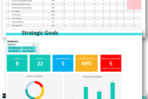 Strategic Goals Progress